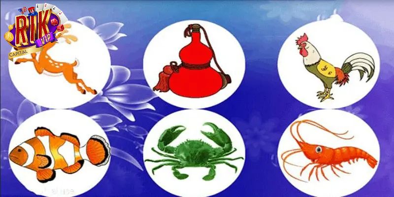 Sử dụng xúc xắc khi tham gia chơi game 